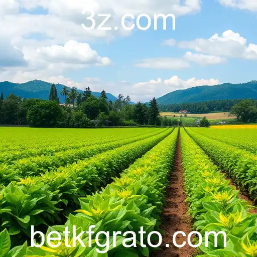 Inovações Tecnológicas que Estão Transformando o Brasil